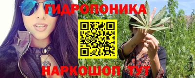 spice Моздок