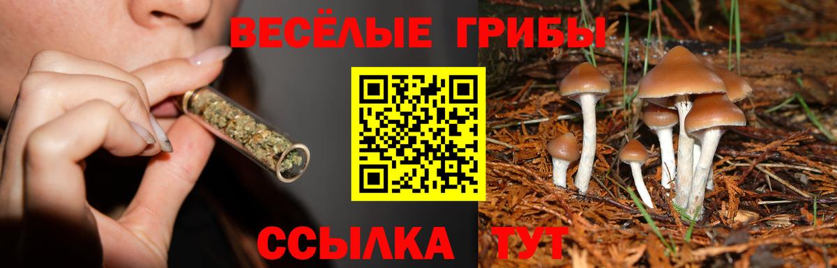 наркошоп  Галлюциногенные грибы мицелий  Вход с VPN  Галлюциногенные грибы мицелий  Шуя 
